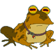 MindControlFrog