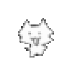 Cat 1